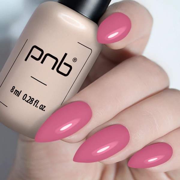 Гел лак PNB 8 мл 379
